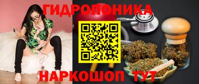 наркотики Камышлов