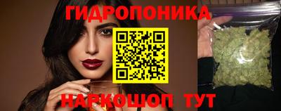 mdpv Кандалакша