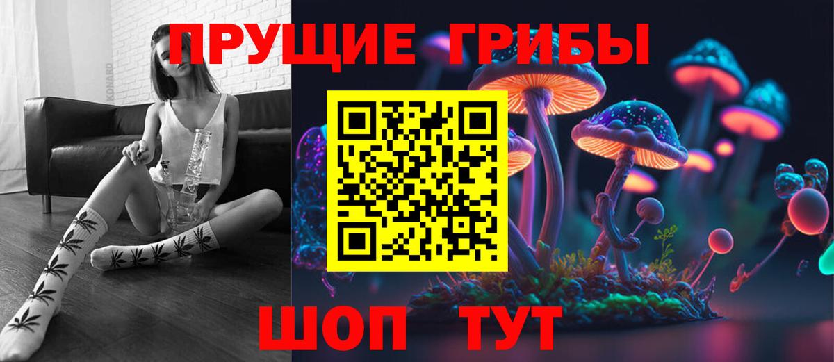 Красноярск  Псилоцибиновые грибы прущие грибы  Вход с VPN 